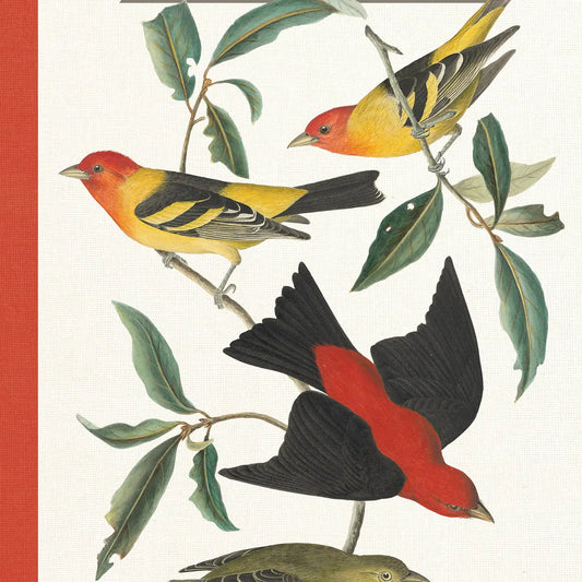 Audubon Birder's Journal