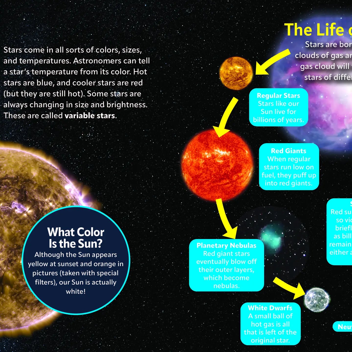 Kid's Guide to the Night Sky