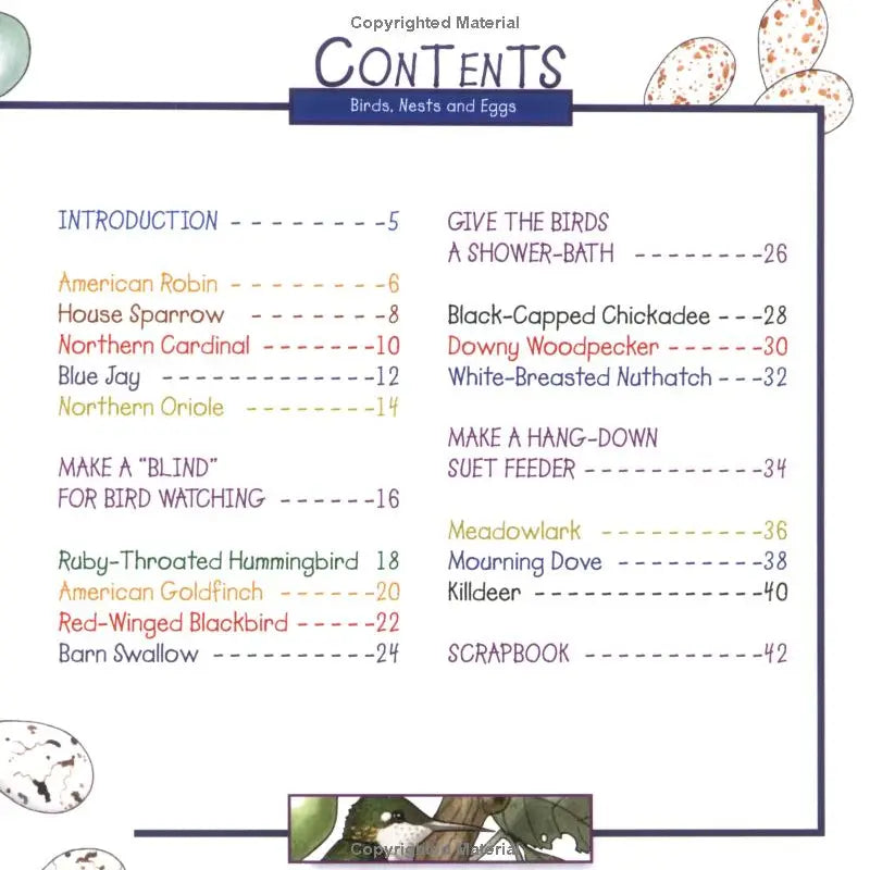 Birds, Nests and Eggs