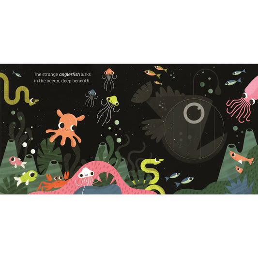 Animal Magic: In the Ocean
