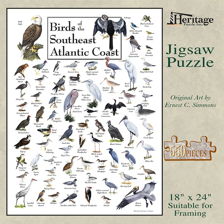 Birds of the South Atlantic Coast