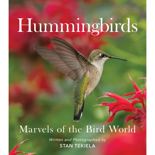 Hummingbirds: Marvels of the Bird World