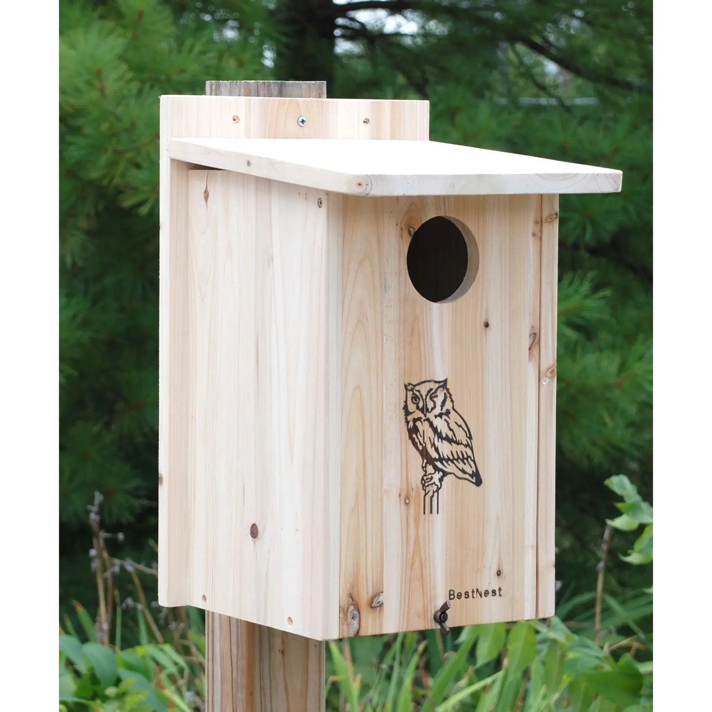 Screech Owl/Kestrel House