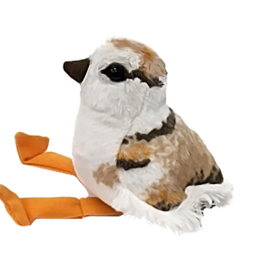 Piping Plover chick with sound