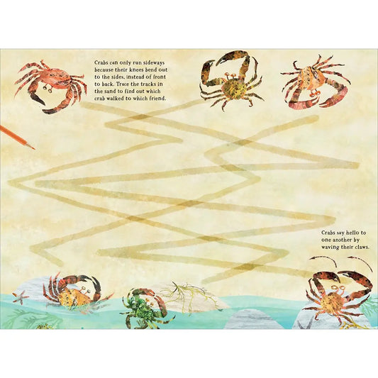 The Big Sticker Book of Blue, Paperback