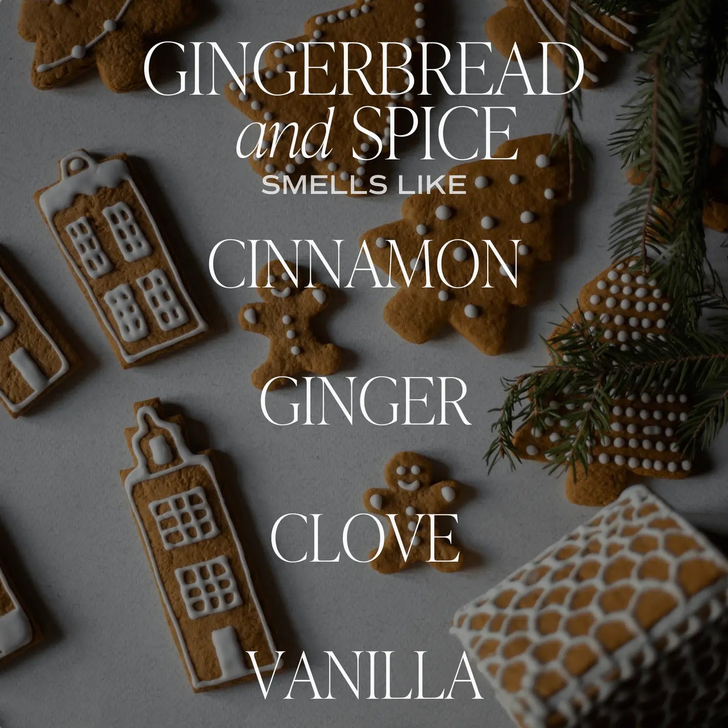Candle, Gingerbread and Spice 9 oz Soy