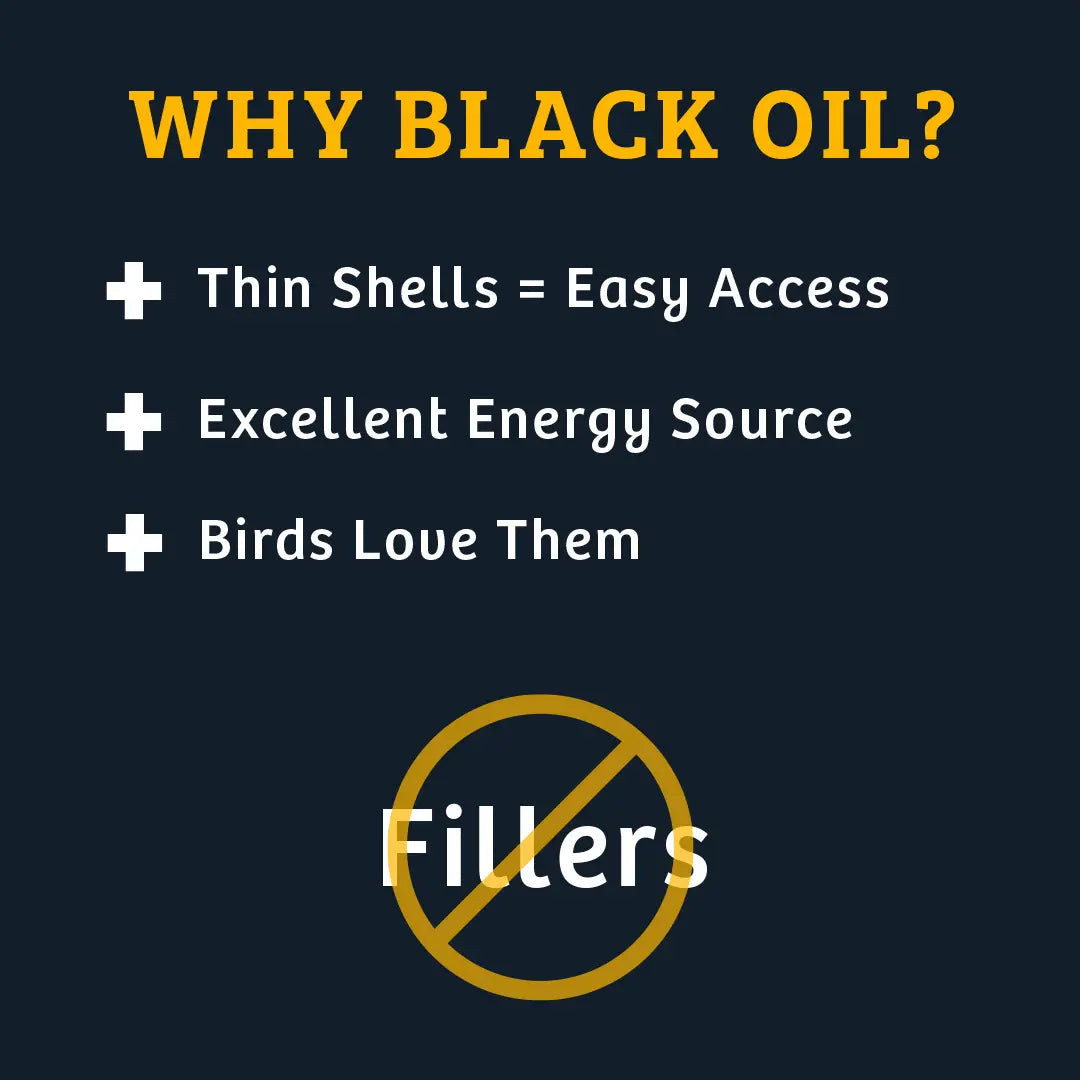 Black Oil Sunflower Wild Bird Food, 15 lbs