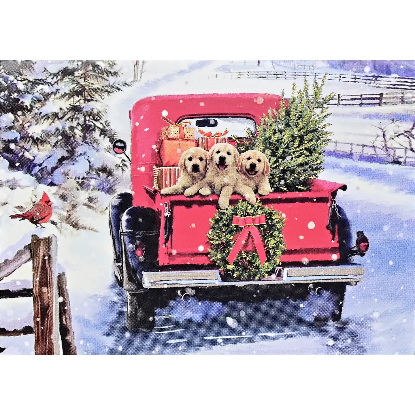 Bringing Home the Tree Deluxe Boxed Holiday Cards