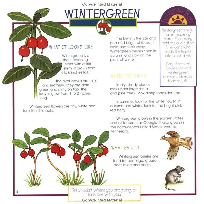Berries, Nuts & Seeds: Take-Along Guide