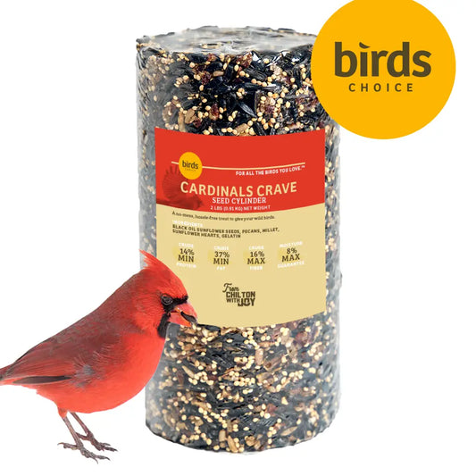 Cardinals Crave Seed Clylinder
