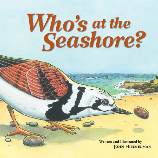 Who's At the Seashore?