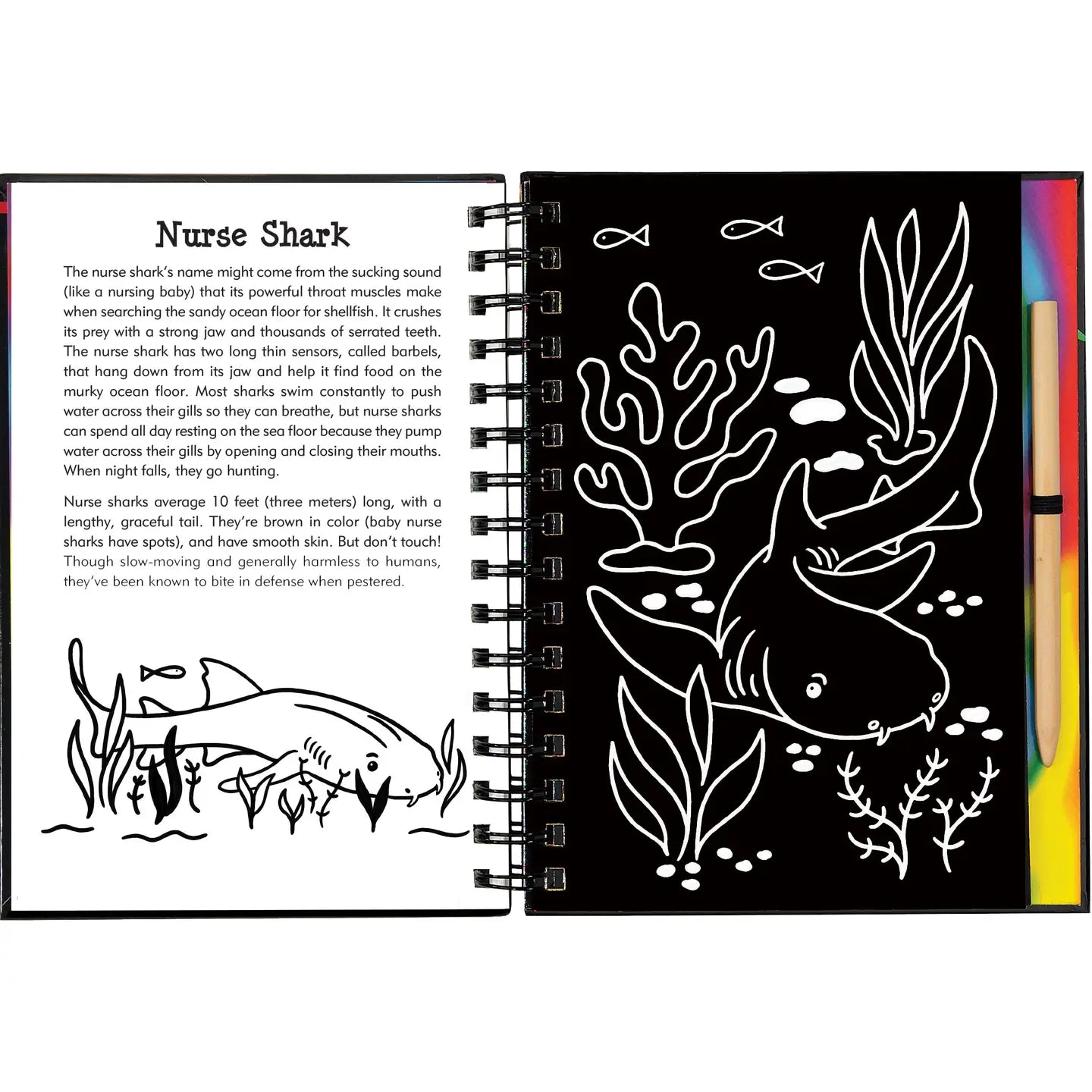 Sharks Scratch and Sketch