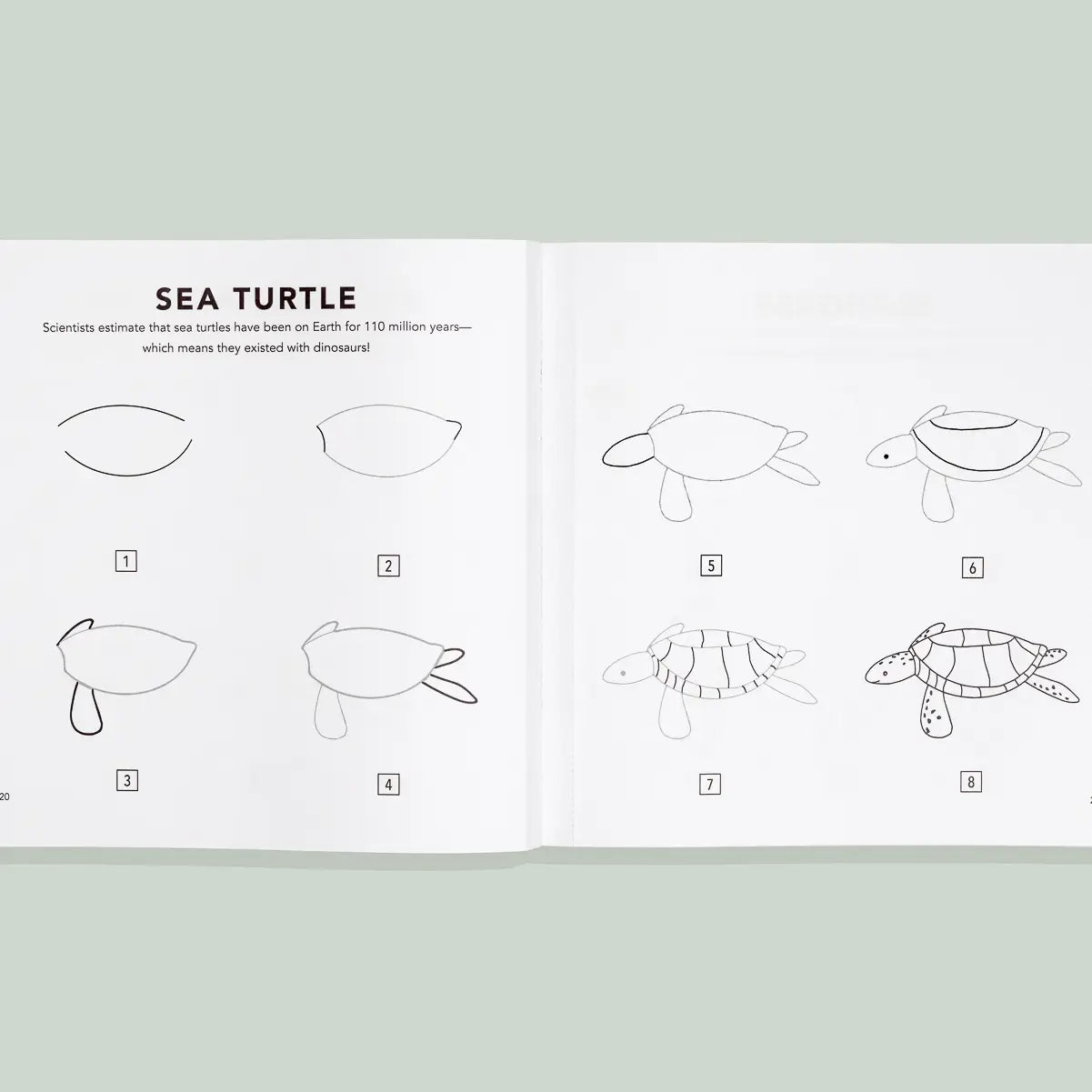 Under the Sea: A How to Draw Art Book for Children Page 2