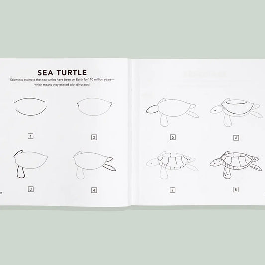 Under the Sea: A How to Draw Art Book for Children Page 2
