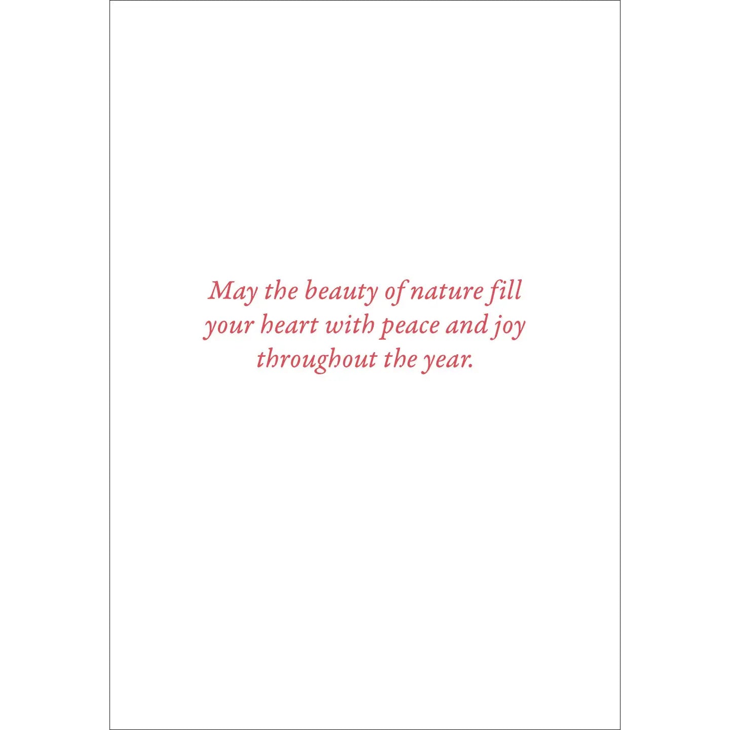 Cardinals in Evergreen Small Boxed Holiday Cards