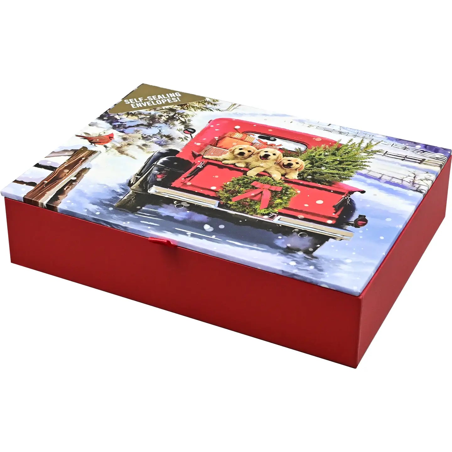 Bringing Home the Tree Deluxe Boxed Holiday Cards