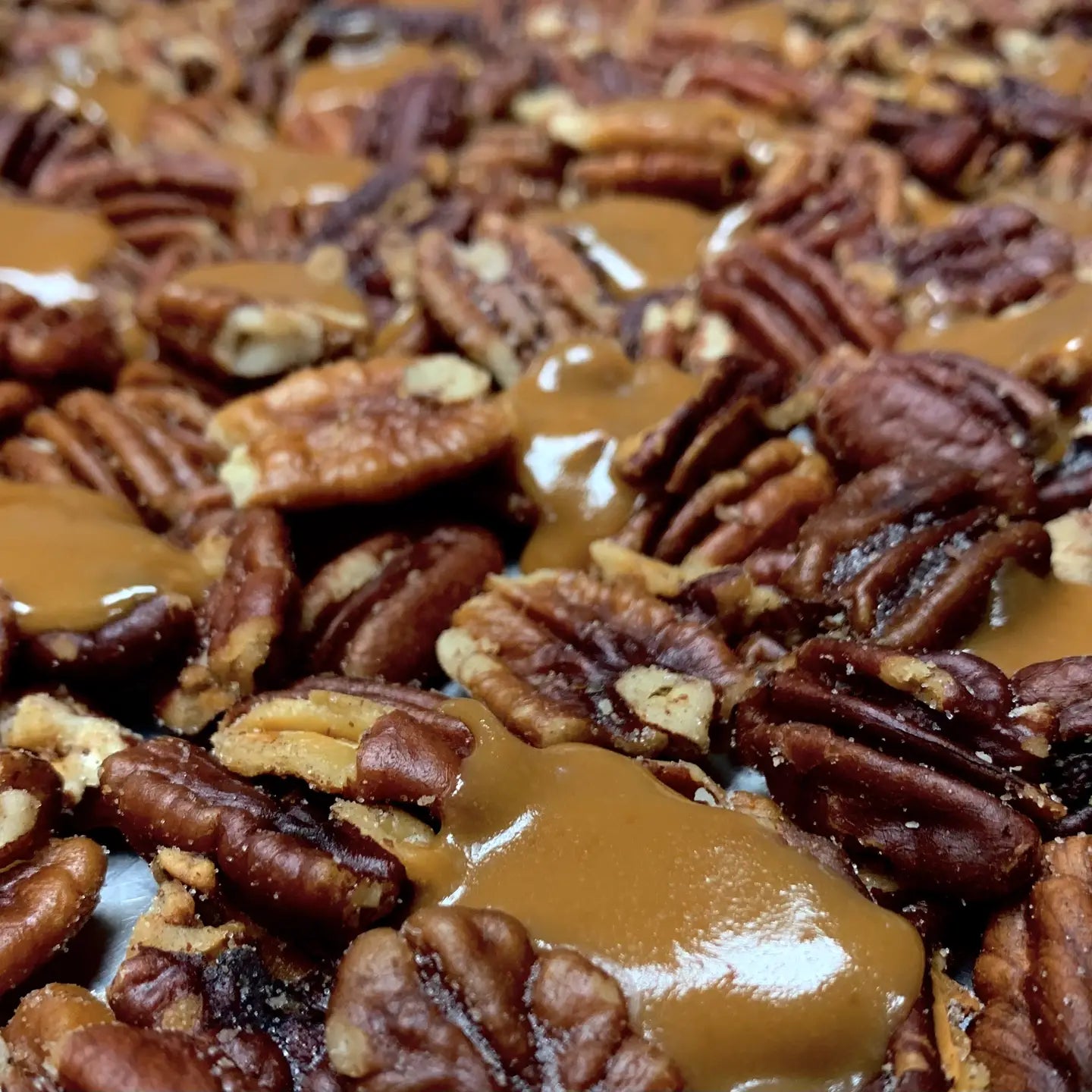 Pecan Caramel Turtle - Pack of 2