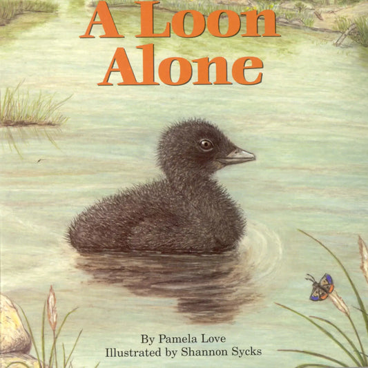 A Loon Alone