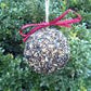 Seed & Nut Ornaments