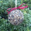 Seed & Nut Ornaments