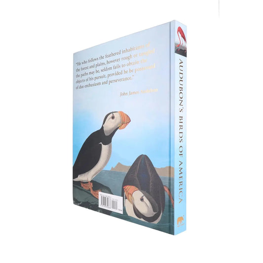 Audubon's Birds of America by John James