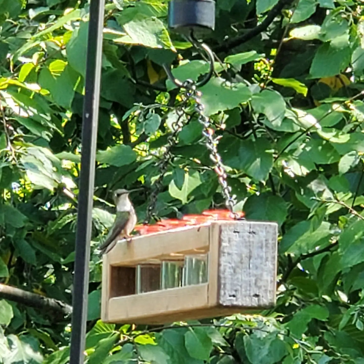Barnwood Hummingbird Feeder