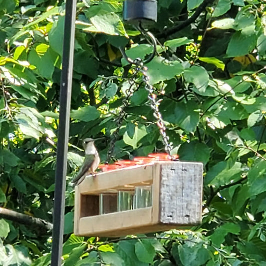 Barnwood Hummingbird Feeder