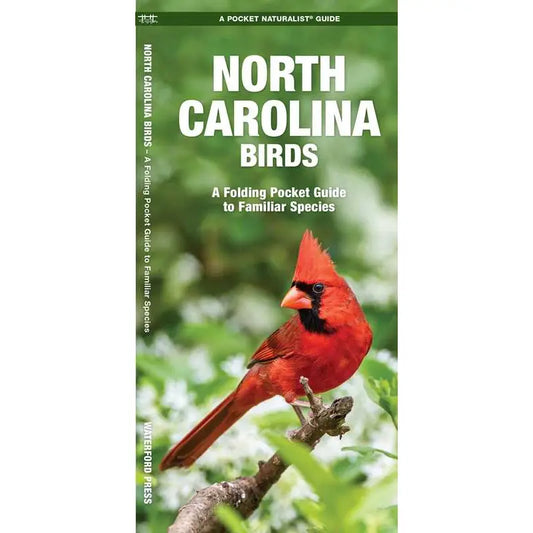 NC Birds by James Kavanagh