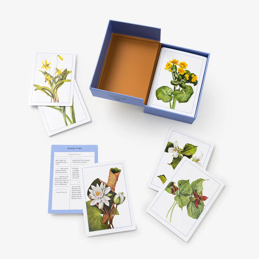 New York Botanical ID Flashcards