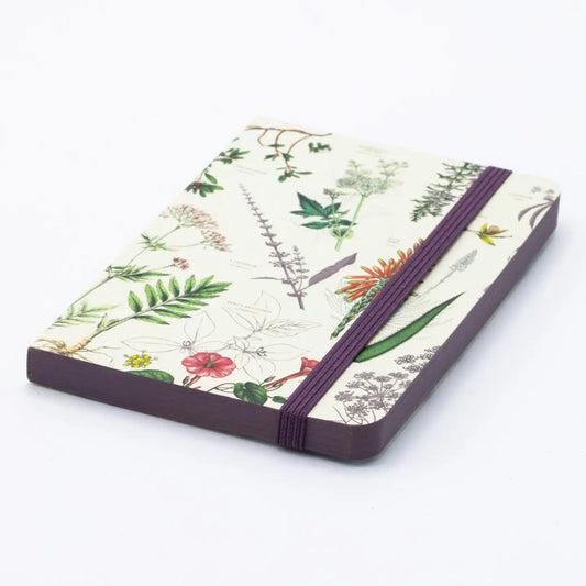 Medicinal Botany Observation Softcover