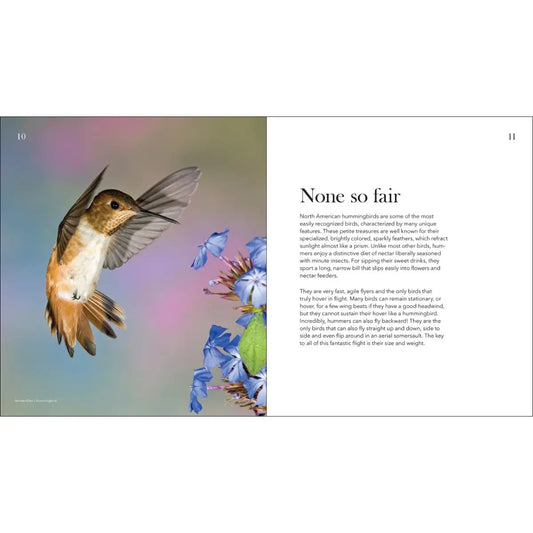 Hummingbirds: Marvels of the Bird World