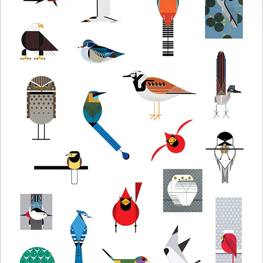 Birds Sticker Book