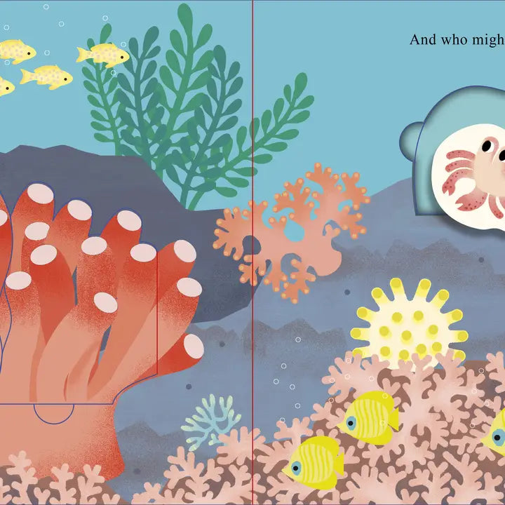 Who is Hiding in the Sea?