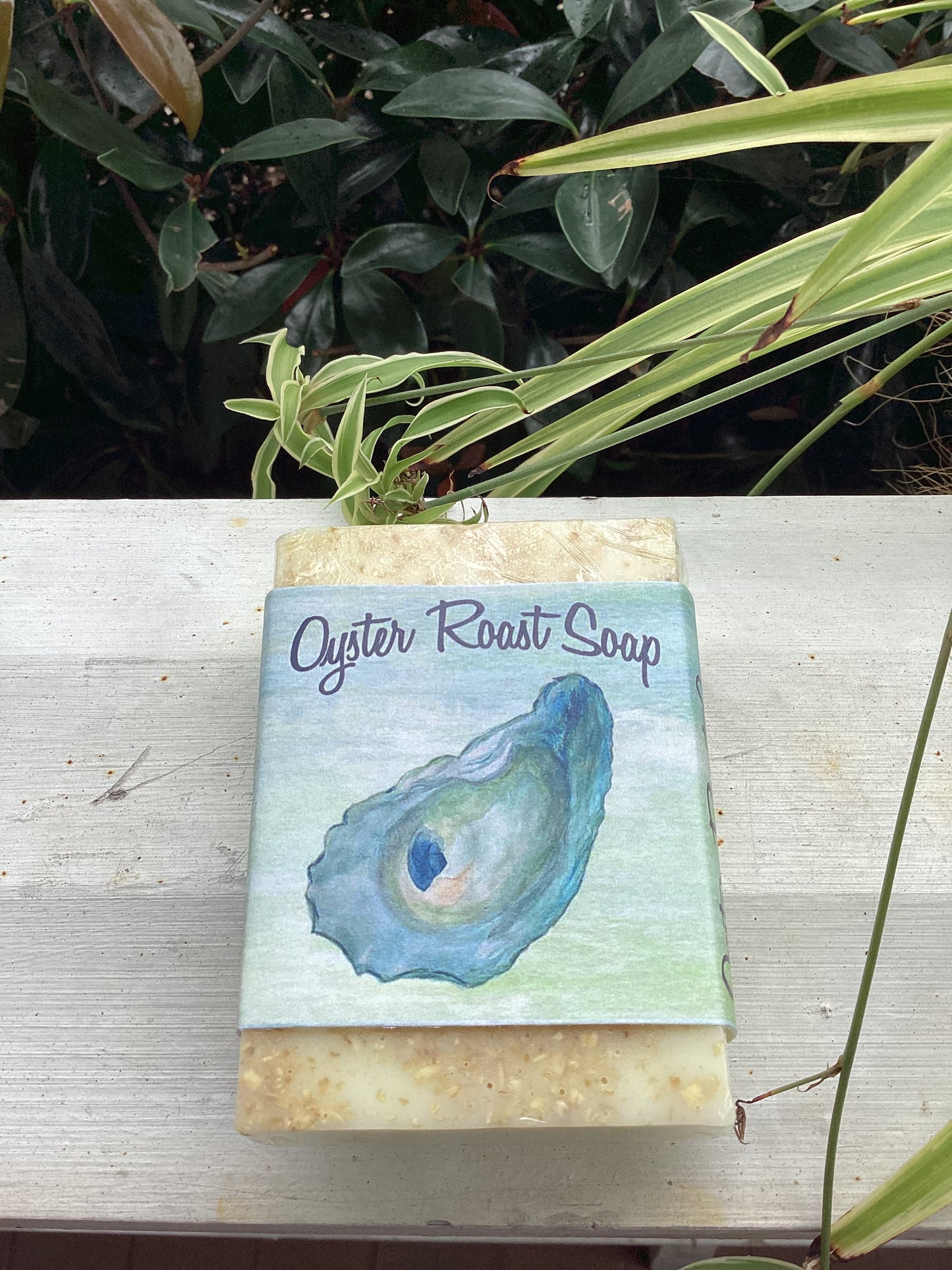 Oyster Roast Soap