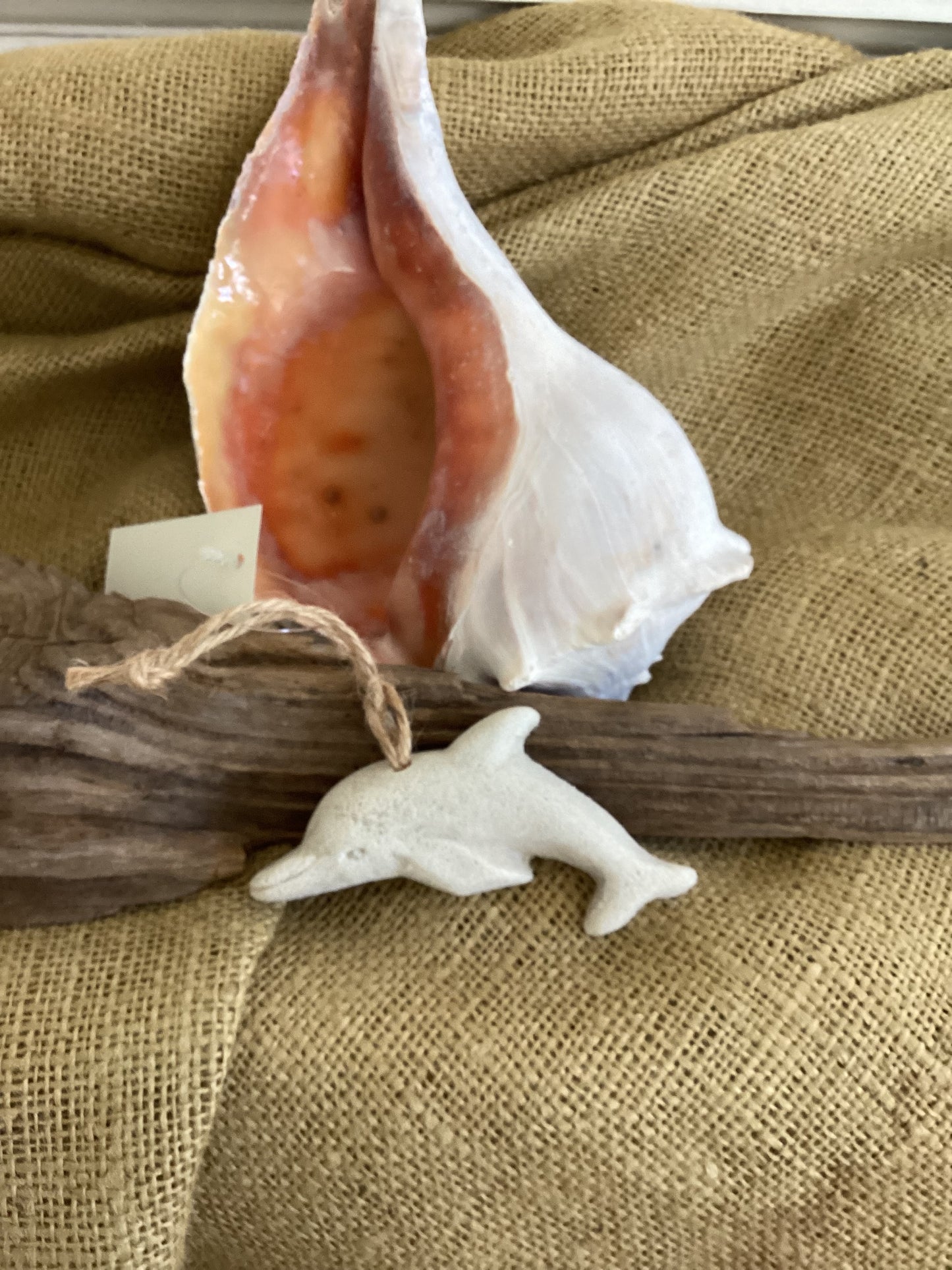 Dolphin Sand Ornament