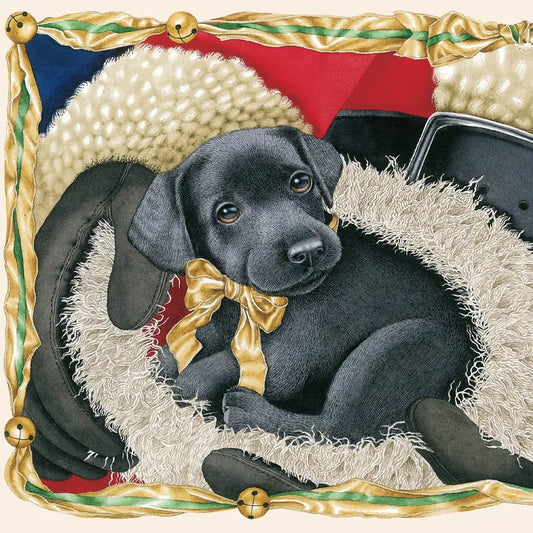 What Dogs Want for Christmas