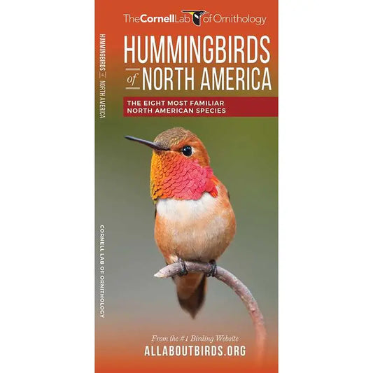 Hummingbirds of North America