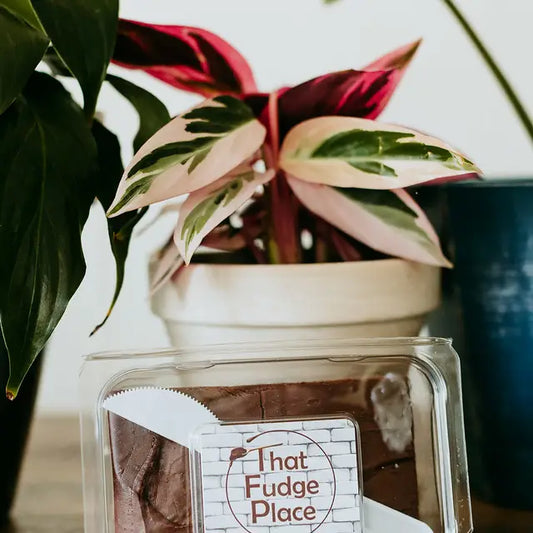 Chocolate Fudge 8 oz