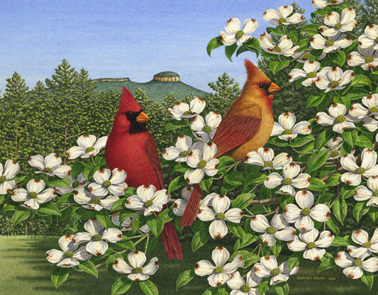 Carolina Calling 550 Piece Puzzle