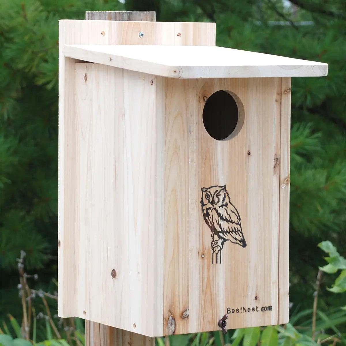 Screech Owl/Kestrel House