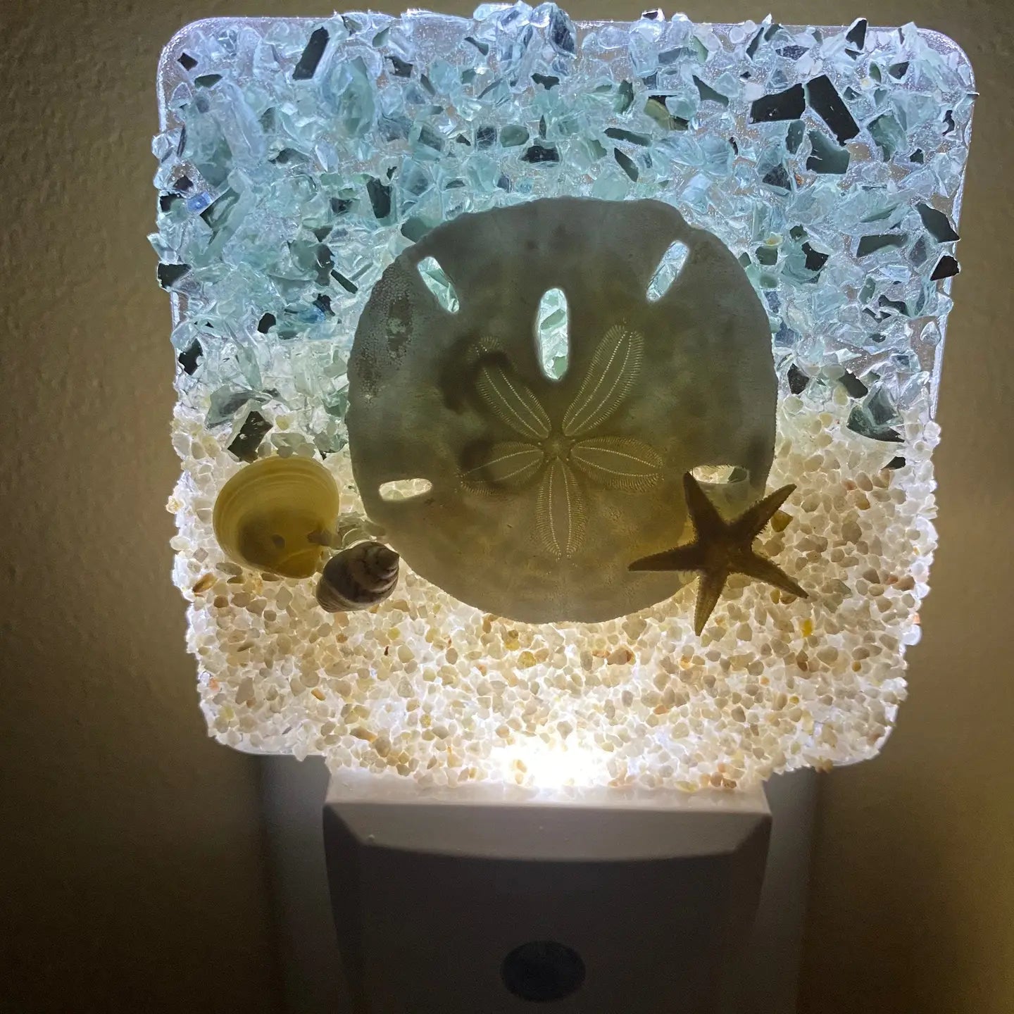 Coastal Night Light-Sand Dollar