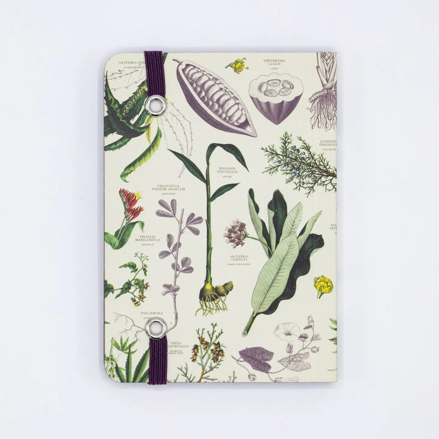 Medicinal Botany Observation Softcover