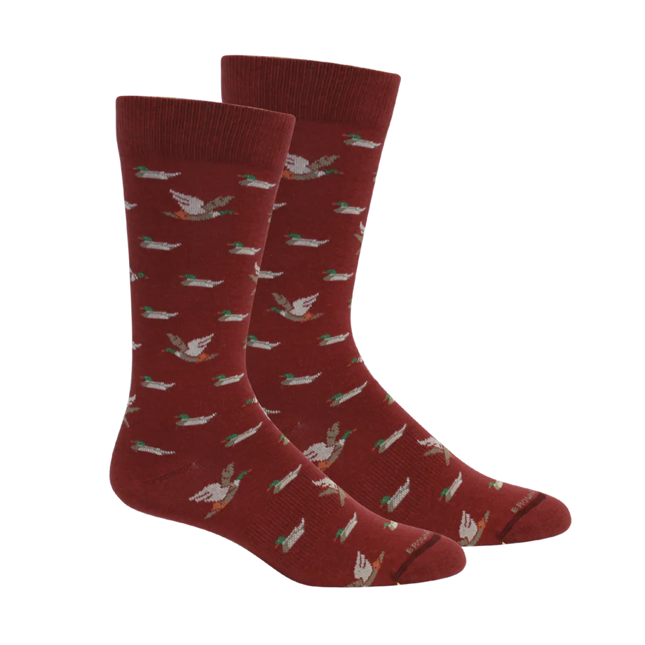 Socks, Belhaven (Ducks) - Tibetan Red Brown Dog