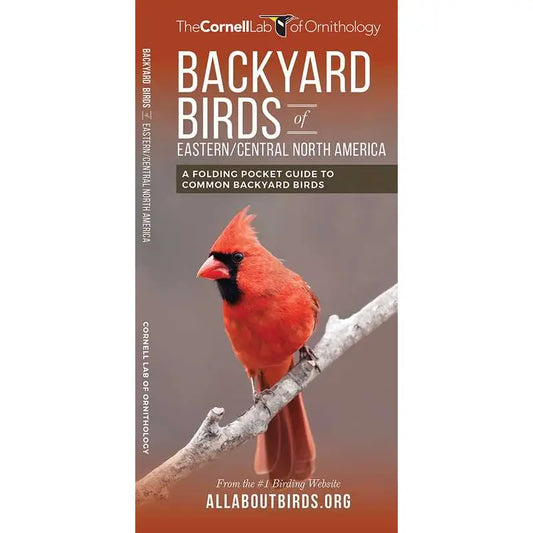 Backyard Birds of Eastern/Central North America