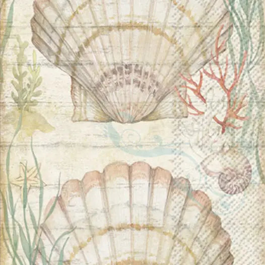 Paper Guest Towels Shell & Coral