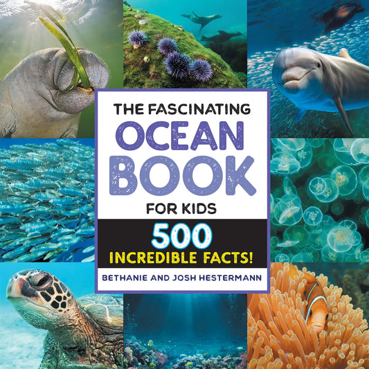 The Fascinating Ocean Book for KIDS