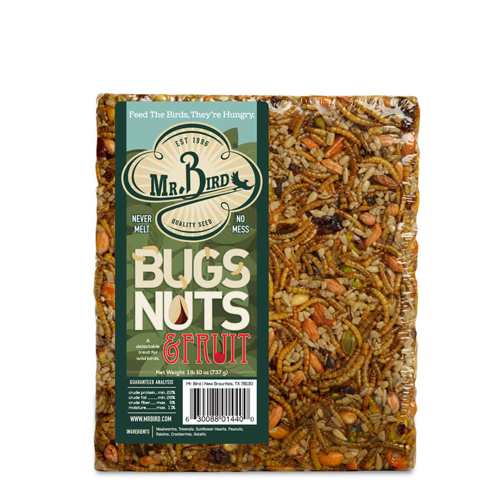 Bugs, Nuts, & Fruit Cake, Large