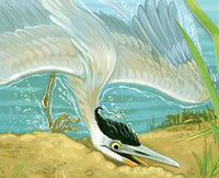 Henry The Impatient Heron