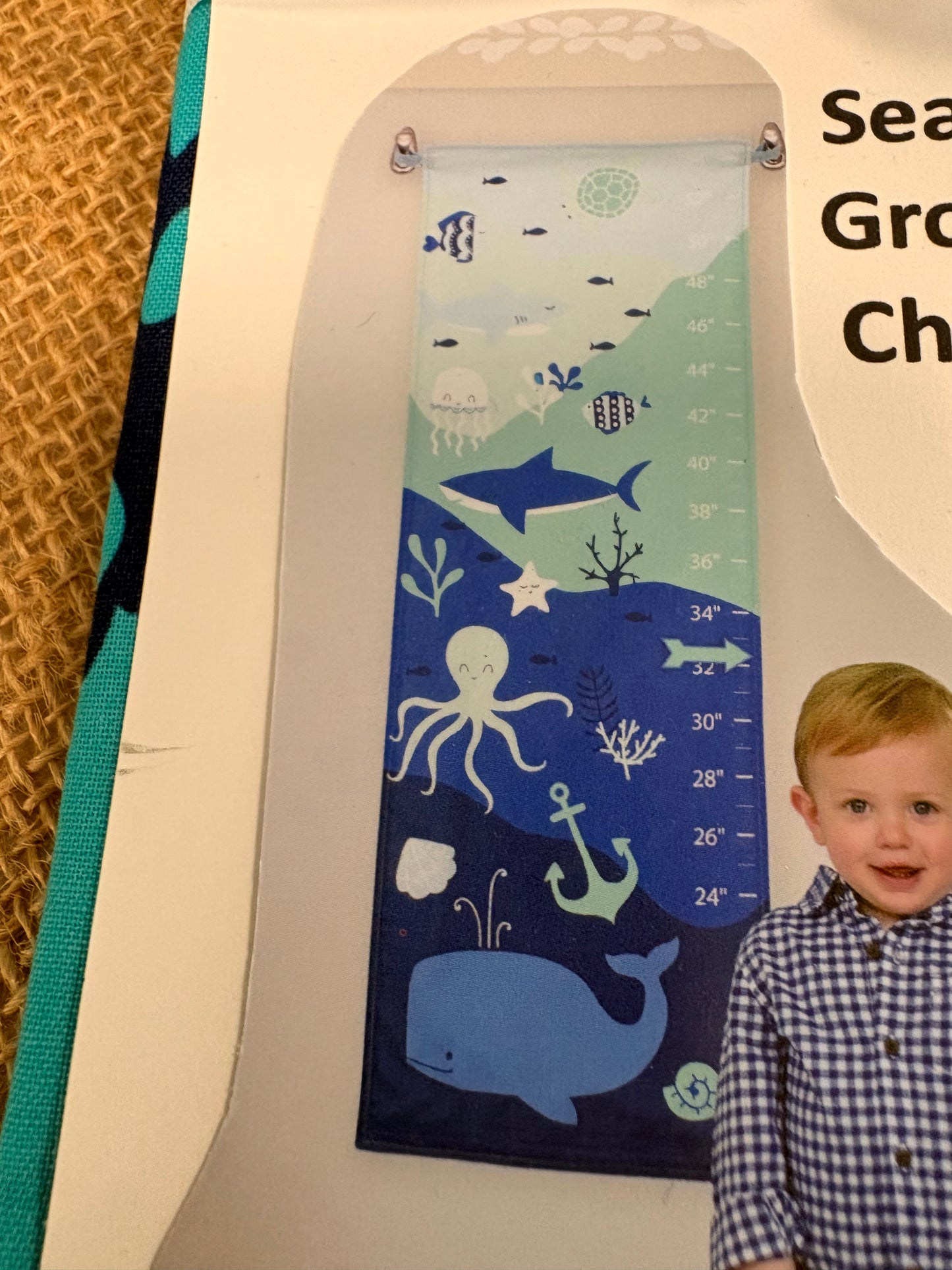 Sea Life Growth Chart