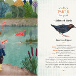 Junior Birder's Handbook